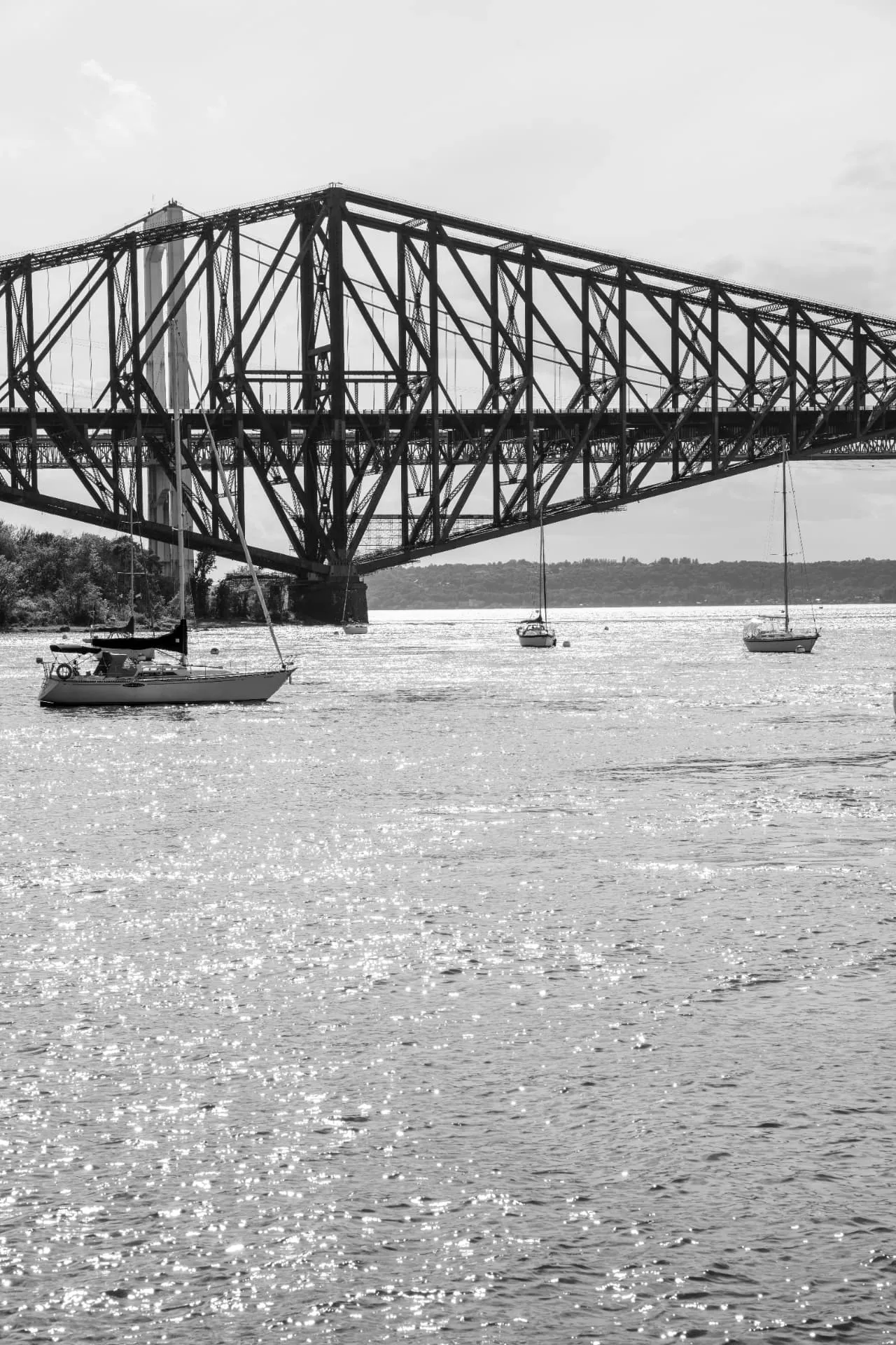 Voiliers ancrés sous le pont de Québec